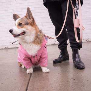 Sudaderas Personalizadas <span class=keywords><strong>de</strong></span> Lujo para Mascotas, Chaqueta <span class=keywords><strong>de</strong></span> Diseño en Poliéster para <span class=keywords><strong>Perros</strong></span> <span class=keywords><strong>Pequeños</strong></span>, Medianos y Grandes, para Invierno y Primavera - Product Image 4
