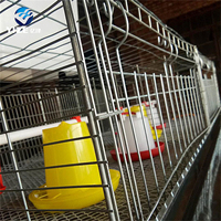 Batterie utilisée par volaille Système de cage pour animaux Ensembles complets Cage pour poussins