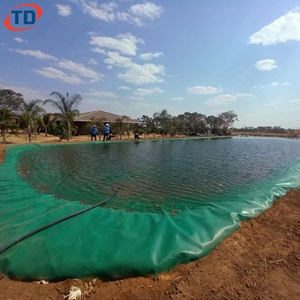 HDPE <span class=keywords><strong>geomembrane</strong></span> màu xanh lá cây Cá Ao Lót 0.5mm 0.75mm tùy chỉnh độ dày cho dam lót không thấm nước HDPE <span class=keywords><strong>geomembrane</strong></span> giá - Product Image 2