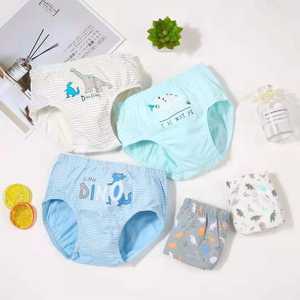 Ropa Interior para Niños Estilo Coreano, Nuevo Diseño 2022, Calzoncillos Tipo Bóxer 100% Algodón, Ropa Interior para Adolescentes con Dibujos Animados - Product Image 1