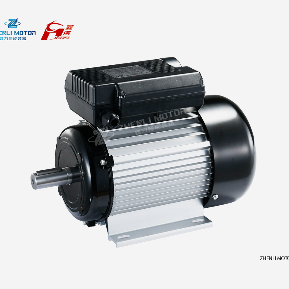 YL Series Electric Motor Single Phase AC Induction Motor Dual Capacitor ...
