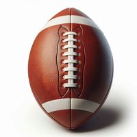 Ballon de football américain personnalisé de qualité supérieure pour équipe avec votre logo – Service OEM/ODM et marque privée pour l'entraînement