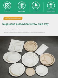 Assiettes jetables rondes personnalisées en bagasse, réutilisables et écologiques pour mariages, fêtes, traiteurs, événements et camping - Product Image 4