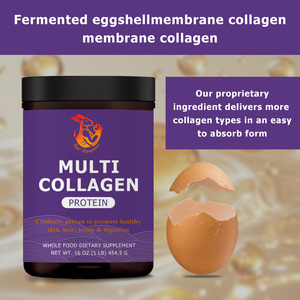 Poudre de protéines multi-collagène directement de l'usine avec probiotiques pour le soutien des os et des articulations chez l'adulte, l'éclat de la peau et la santé intestinale - Marque privée - Product Image 5