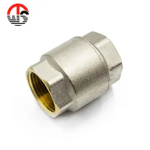 One Way 1/2" Brass Vertical Spring Swing PN40 Nickel Plated Air Check Valve