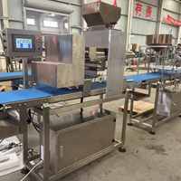 Machine automatique électrique pour l'application de sauce et de fromage sur les pizzas, vente chaude, directement de l'usine