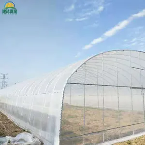 China agro greenhouse agribusiness from Jianda brand