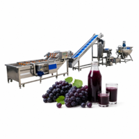Complete set sapverwerkingsmachines voor commerciële fruit sap productielijn voor drankenfabriek