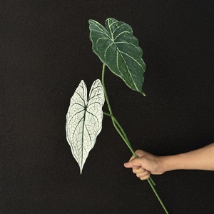 Bán Buôn Monstera Lá Nhân Tạo Màu Xanh Lá Cây Cọ Lụa Cho Đám Cưới Tường & Nhà Hoa Nhân Tạo Alocasia Lá - Product Image 5