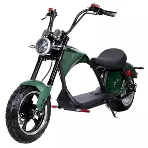 EEC 승인 2000w 스쿠터 시티 코코 전자 쵸퍼 전기 오토바이