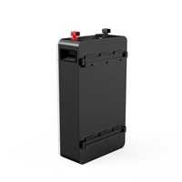 Batterie LiFePO4 51,2 V 100 Ah 5,12 kWh murale pour stockage d'énergie domestique avec BMS, WiFi, Bluetooth et sauvegarde solaire