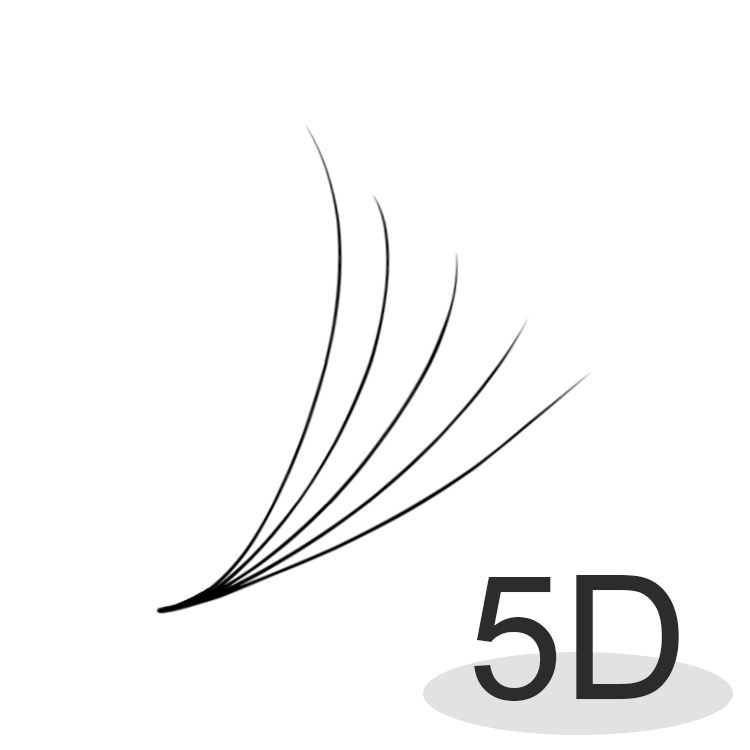 5D
