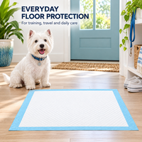 Tapis de propreté jetables pour chiots, avec noyau en pâte à papier à absorption rapide, dessus doux et base imperméable, pour l'apprentissage de la propreté en intérieur
