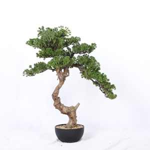 Decoración de escritorio de oficina Diferentes estilos Ornamental Artificial Plne Tree Faux Yew Plum Pine Bonsai con maceta - Product Image 4