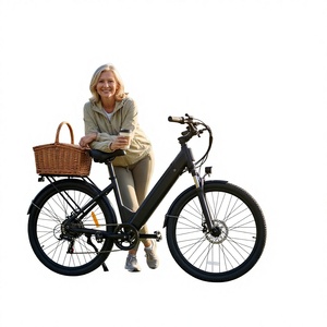 Vélo de montagne électrique pour hommes et femmes, nouvelle batterie au lithium amovible, vitesse variable, assistance électrique, pour adultes - Product Image 1