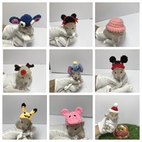 Vente chaude Top Chapeaux pour Petits Animaux Hamsters Rats Serpents Lézards Cochons D'inde Vêtements Costume Accessoires pour Holi