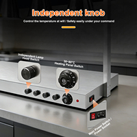Lampe chauffante pour buffet, maintien au chaud des aliments pour la restauration, chauffe-pizza, lampe de réchauffement, station de réchauffement alimentaire, station de réchauffement pour barbecue