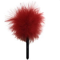 Plume de stimulation pour jeux de rôle pour adultes, accessoires BDSM, jouets sexuels