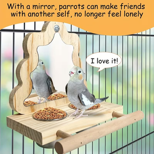 Nichoir en bois non fini à faire soi-même, avec un support pour oiseaux, un miroir et des bols d'alimentation en acier inoxydable, mangeoire à oiseaux en bois intelligente - Product Image 4