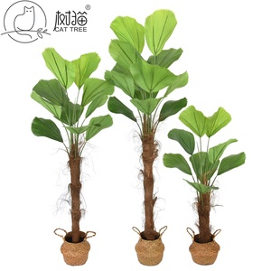 <span class=keywords><strong>Palmier</strong></span> <span class=keywords><strong>Licuala</strong></span> Artificiel avec Pot, Plante de <span class=keywords><strong>Palmier</strong></span> en Fausse Feuille de <span class=keywords><strong>Palmier</strong></span>, Plante Tropicale en Pot pour la Décoration Intérieure de la Maison et du Bureau - Product Image 6