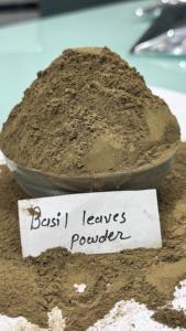 Poudre de basilic sacré biologique, poudre de feuilles de Tulsi, complément alimentaire naturel à base de plantes pour le soutien immunitaire et la réduction du stress, vente en gros - Product Image 4