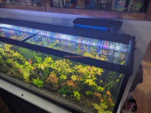 FULLGAIN FG138PRO nouveau produit en alliage d'aluminium 5054 WRGB spectre complet planté élèvent la lumière d'<span class=keywords><strong>aquarium</strong></span> haute puissance lumière de réservoir de poissons - Product Image 6