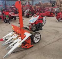 Moissonneuse-batteuse BISON pour le blé, le riz, les céréales, le manioc avec moteur à essence, machines agricoles à haute efficacité