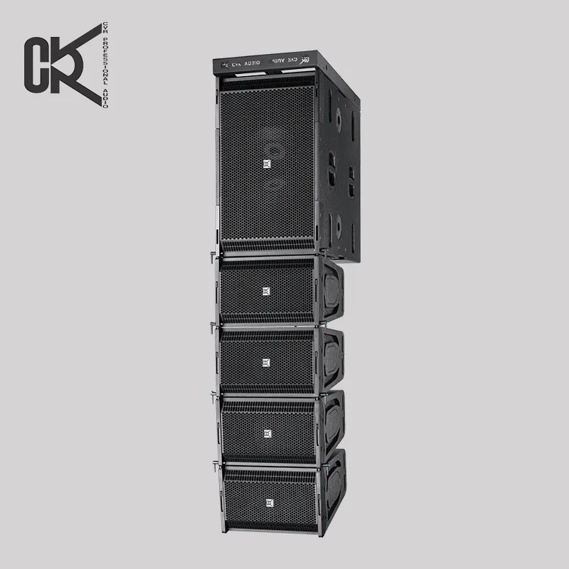 CVR Line array system w-110B&W-215 sound system one 10 inch top with neodymium double 15" subwoofer wood box