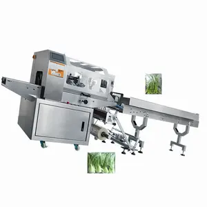 Fantastic Property NT-600XQ Pillow Packager With Vegetable Market Food
