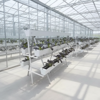 Système de culture hydroponique verticale en gouttière avec circulation d'eau automatisée et irrigation goutte à goutte pour serre agricole à faible coût et haut rendement