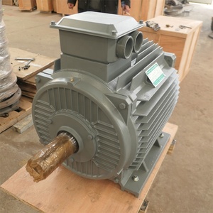เครื่องกำเนิดไฟฟ้าแม่เหล็กเฟสเดียว 5 กิโลวัตต์ รอบต่ำ รุ่น YGDL MAGNET ALTERNATOR - Product Image 1