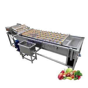 Máquina de limpieza de nueces industrial limpiador de plátanos Especificación de la máquina de lavado y secado de burbujas de frutas y verduras