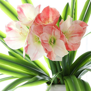 Vente chaude 3D Real Touch Rouge <span class=keywords><strong>Amaryllis</strong></span> Bulbes Plante Artificielle Fleur Tiges pour Mariage Nouvel An Noël Graduation Pâques - Product Image 5