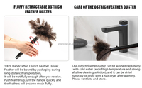 Plumeau en plumes d'autruche naturelles en gros, personnalisable avec logo sur la poignée, réutilisable, antistatique, outils de nettoyage ménager