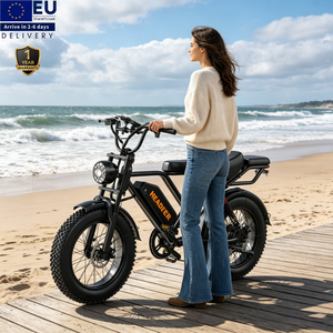 Bicicleta Eléctrica Urbana de Alta Velocidad HEADEER BK20 con Batería de Litio de 48V 20Ah, 250W, 20 Pulgadas, Doble Suspensión, Estilo Moped, Disponible en la UE - Product Image 1