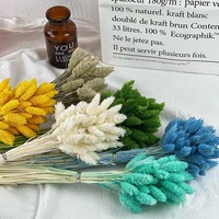 Bunga Pampas Kering Berkualitas Tinggi Terlaris, Rumput Permata untuk Dekorasi Pernikahan, Rumah, Natal, Imlek, dan Tahun Baru