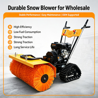 Souffleuse à neige et tondeuse à gazon RC 2-en-1 commerciale, robot souffleur de neige sur chenilles, portée de contrôle de 800 m