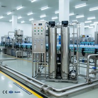 Machinerie industrielle de traitement de l'eau 500LPH 12TPD pour système de purification d'eau pure de qualité alimentaire