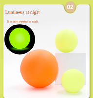 Balle lumineuse interactive pour chien, résistante aux morsures, élastique, pour l'entraînement et le nettoyage des dents, vente en gros