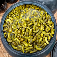 Pepinos Curvos en Salmuera, Pepinos en Conserva en Envase Tipo Tambor, Sabor Salado