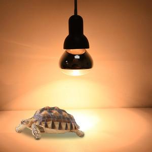 China Factory Direct Buy <strong>UV</strong> Halogen Heating Lamp <strong>Bulb</strong> for Animal Husbandry Breeding Equipment Lighting - Product Image 3