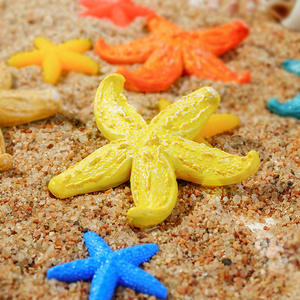 Zee Ster Simulatie Koraal Waterplant Strand Mini Oceaan Vis en Garnalen Set Pakket Micro Landschap Visbak Scenery - Product Image 3