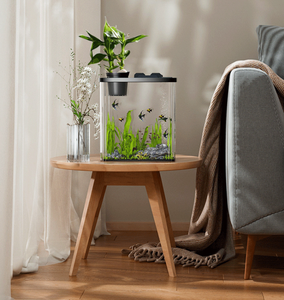 <span class=keywords><strong>3</strong></span>ガロン超透明ガラス水槽、リムレス低水族館 - Product Image 4