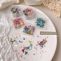 Accessoires de résine pour nail art : fleurs séchées, pétales de peinture à l'huile style Monet, petites fleurs d'inspiration japonaise, assortiment DIY