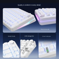 F75% RGB Tri-Mode Mechanical Keyboard with ABS Translucent Keycaps USB Interface Logo Customization for Esports & Office Use