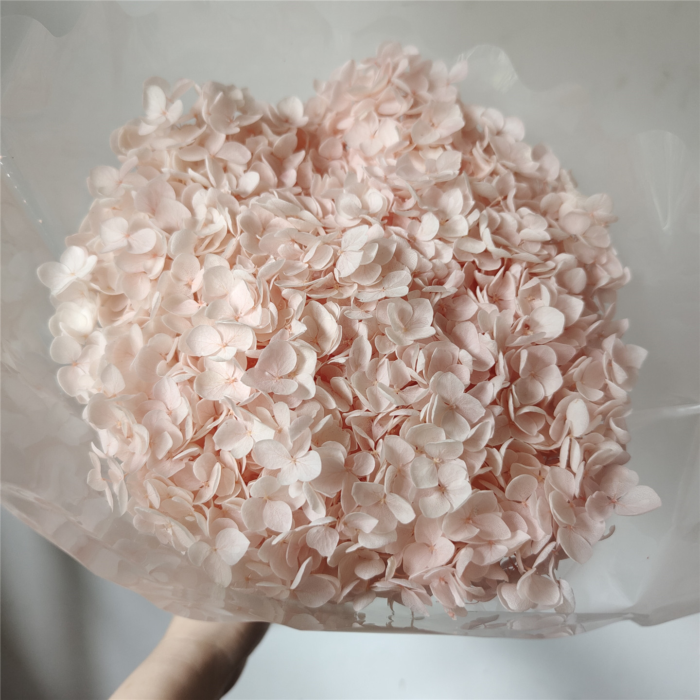 Pale pink, 18-21 cm