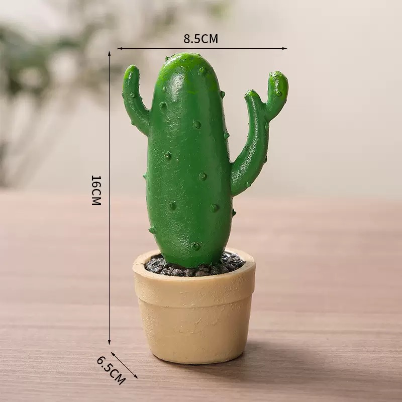 1/ 8.5*6.5*16cm