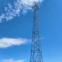 Tour de télécommunication à auto-antenne en treillis angulaire à pylône en acier à 4 pattes du fabricant