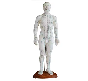 Offre Spéciale modèle d'<span class=keywords><strong>acupuncture</strong></span> chinois 50cm modèle d'<span class=keywords><strong>acupuncture</strong></span> masculine modèle d'<span class=keywords><strong>acupuncture</strong></span> méridiens humains pour l'enseignement et l'apprentissage - Product Image 1