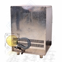 Máquina Expendedora de cubitos de hielo con mini máquina automática de cubitos de hielo para el hogar con moneda